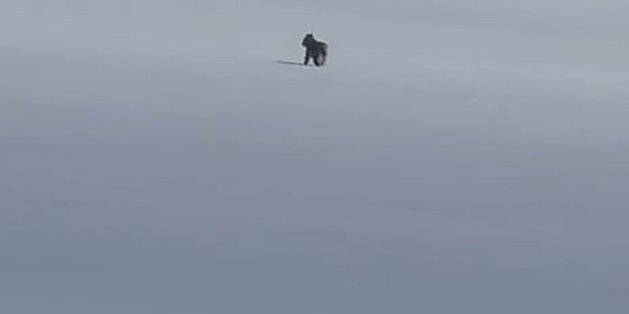 Adilcevaz’da kar üzerinde vaşak görüntülendi