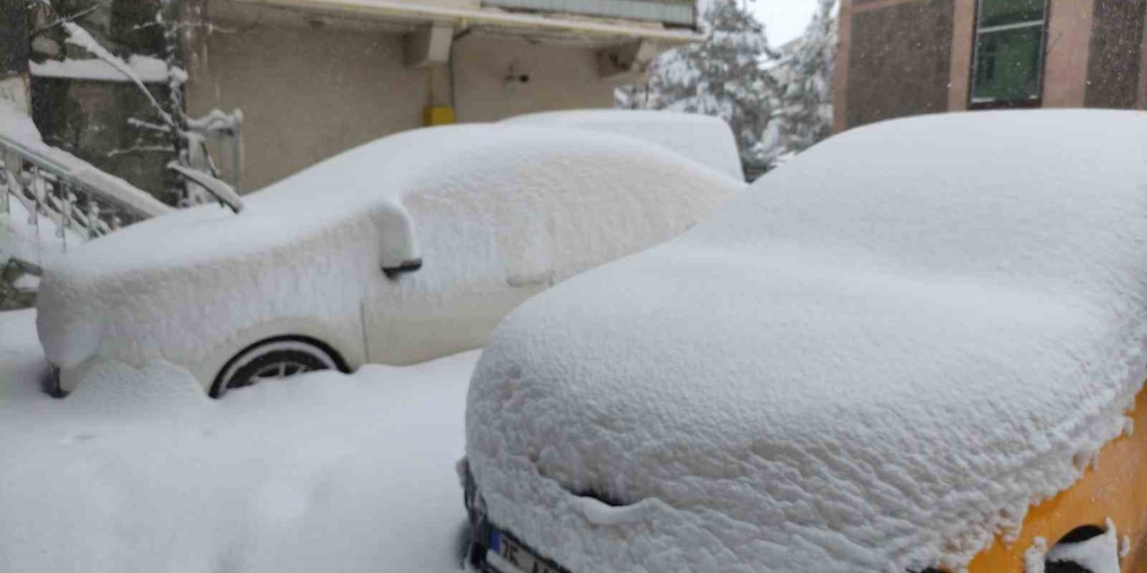 Ardahan’da kar yağışı yeniden başladı