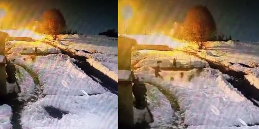 Bahçesine giren kurt sürüsünü kürekle kovaladı