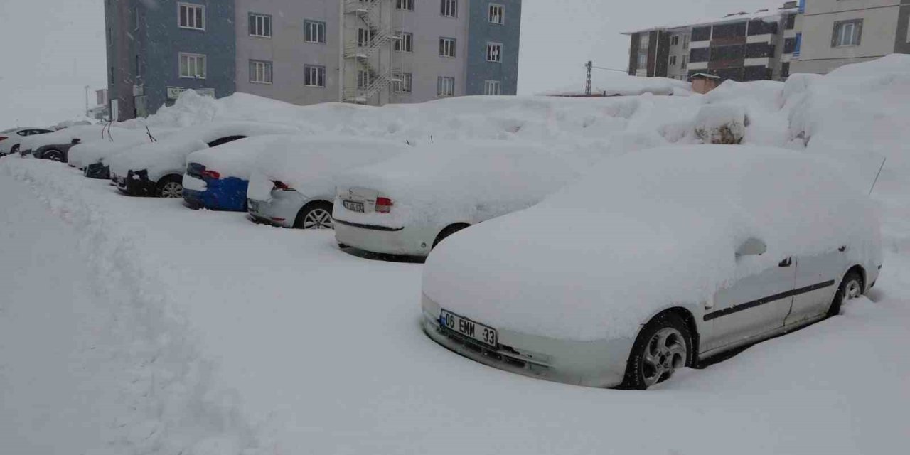Bitlis’te mart karı 288 köy yolu ulaşıma kapattı