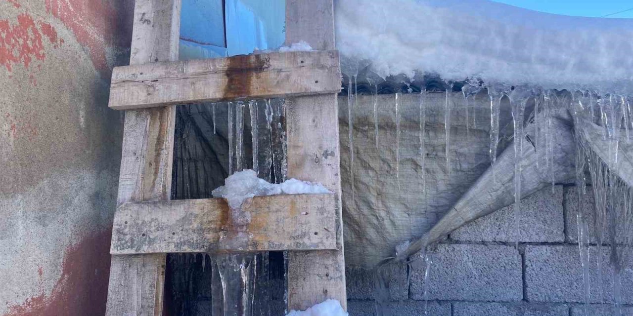 Patnos’ta kar yağışının ardından don etkili oldu