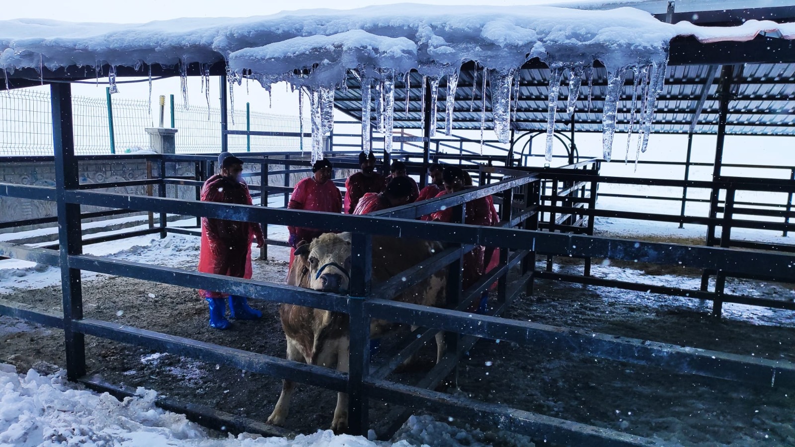 Türkiye’nin Hekimleri Kars’ta Buluştu