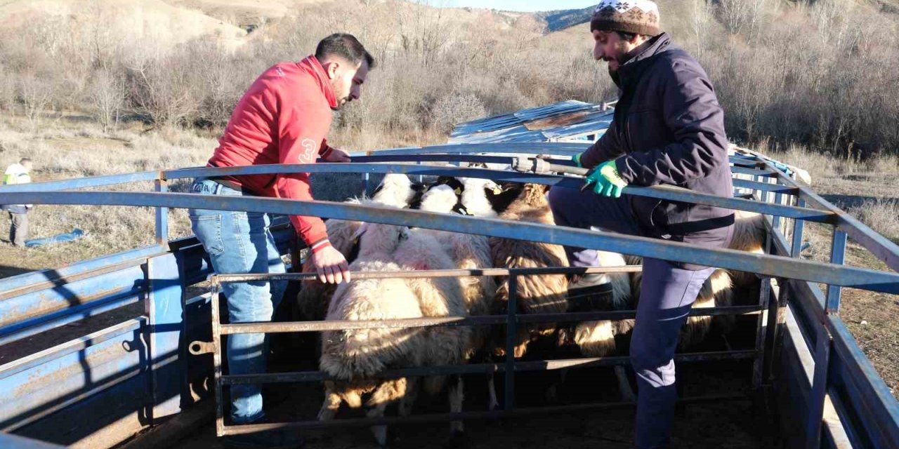 Erzincan’da besiciler 8 aylık göçe başladı