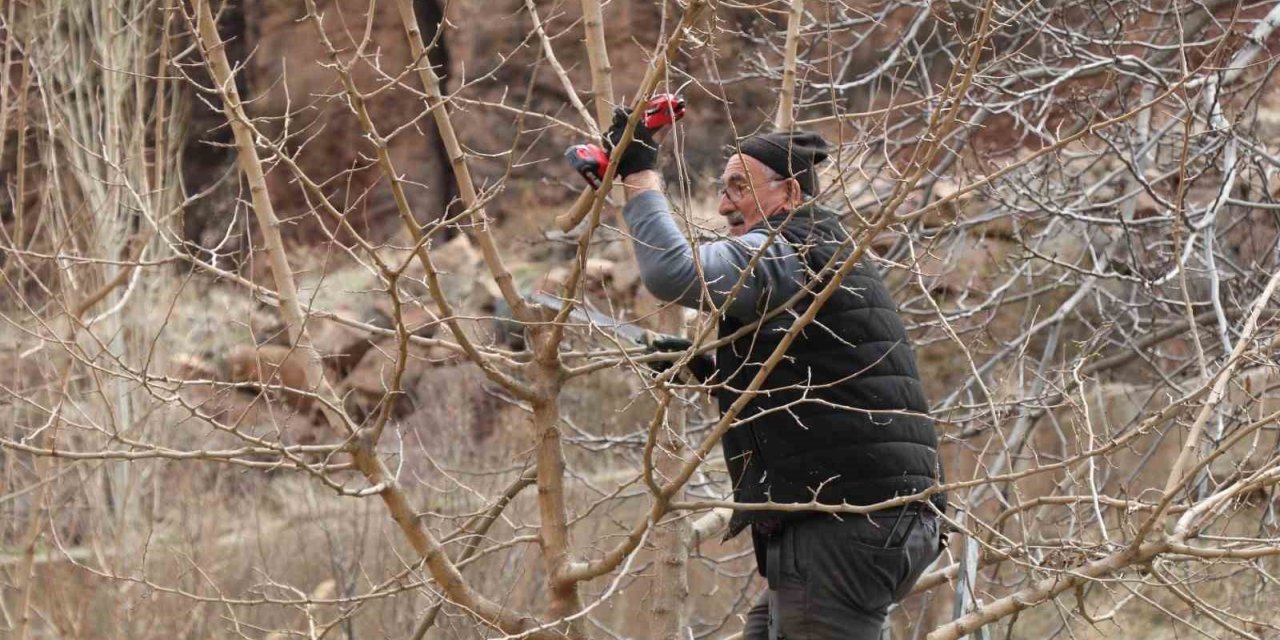 Erzurum’da köylerde bahçe bakım çalışmaları başladı