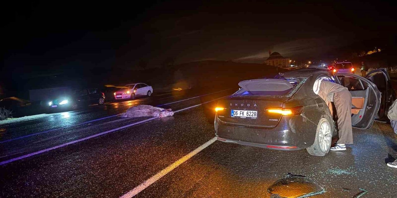 Bingöl’de otomobil ata çarptı: 4 yaralı