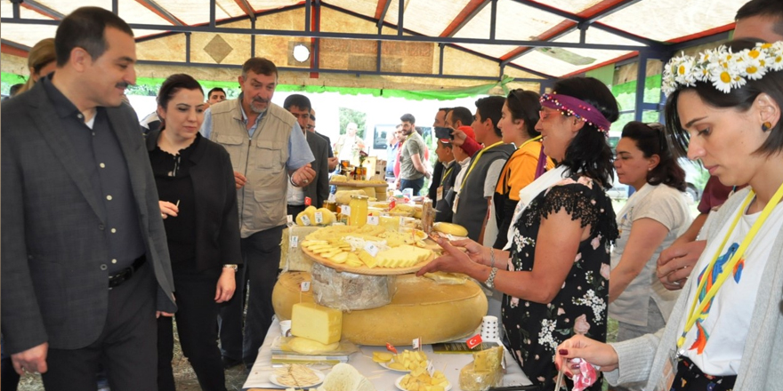 Anadolu peynirleri Cilavuz’da görücüye çıktı