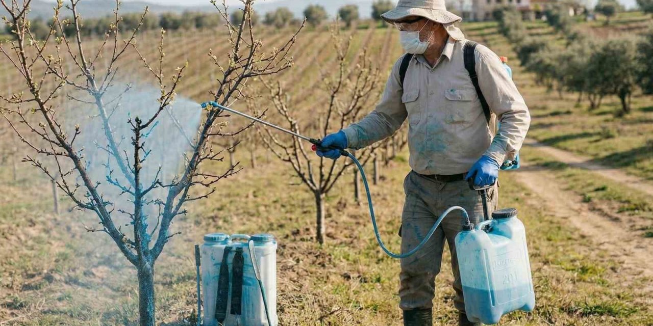 Meyve üreticilerine bordo bulamacı uyarısı
