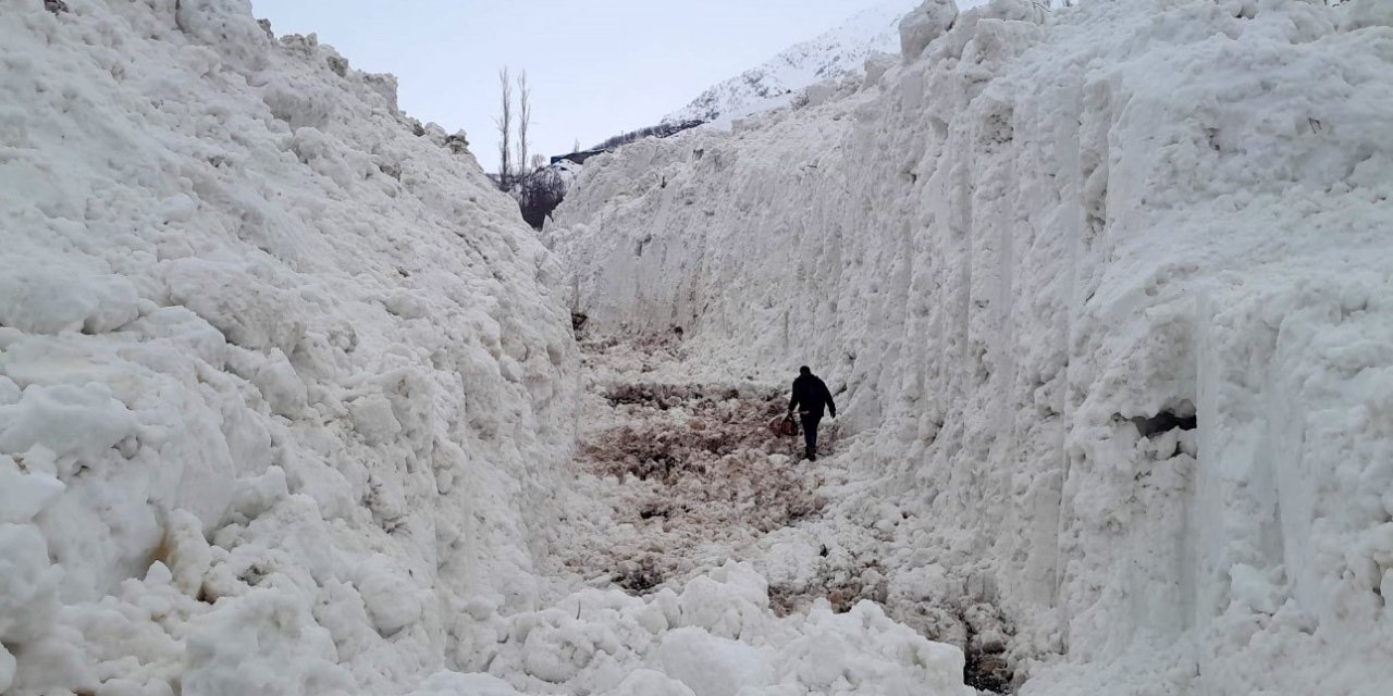 Yüksekova’da çığ meyve bahçelerini yuttu: Köy yolu kar tünelleriyle açılıyor