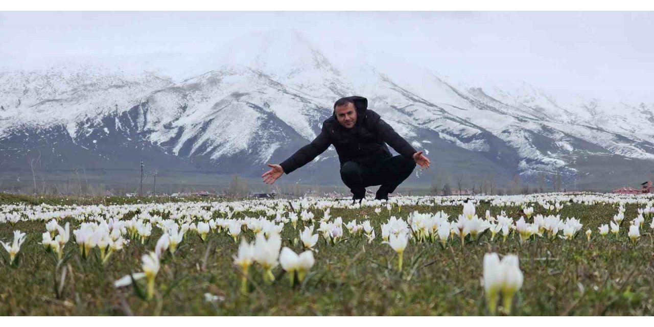 Bitlis’te baharın müjdecisi kardelenler açtı