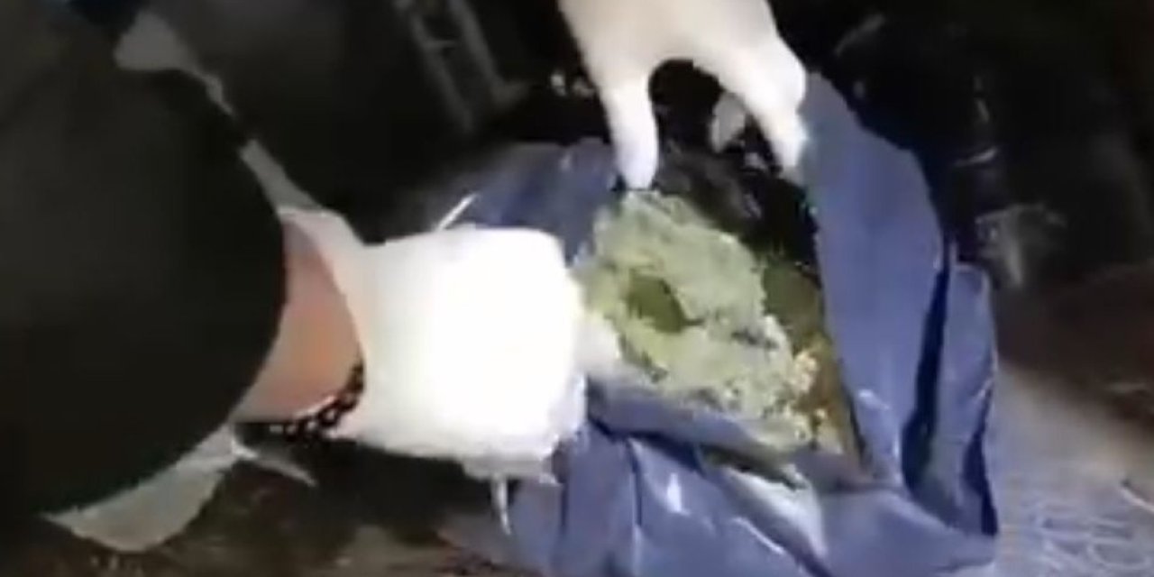 Malatya’da uyuşturucu operasyonu: 2 gözaltı