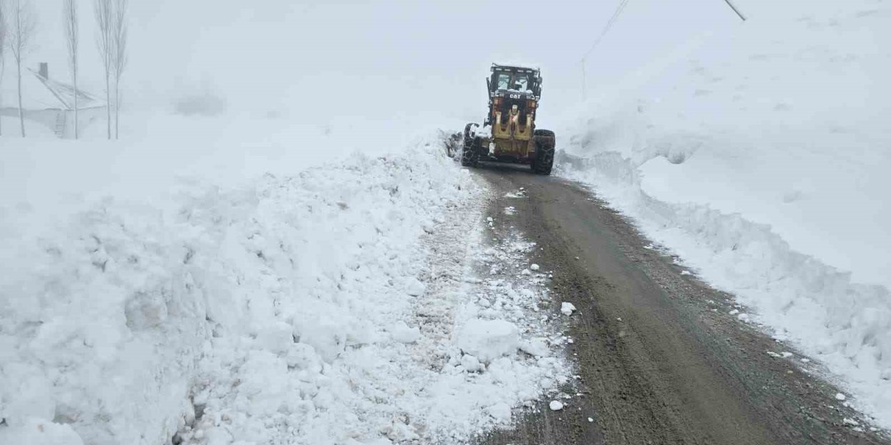 Hakkari’de 61 yerleşim yerinin yolu kapandı