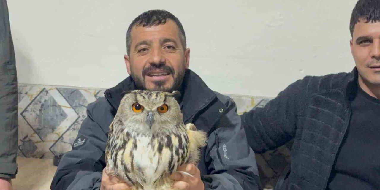 Kars’ta yaralı puhuya şefkat eli