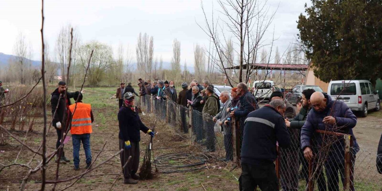 Meyve fidanı satışı 30 Mart’ta yapılacak