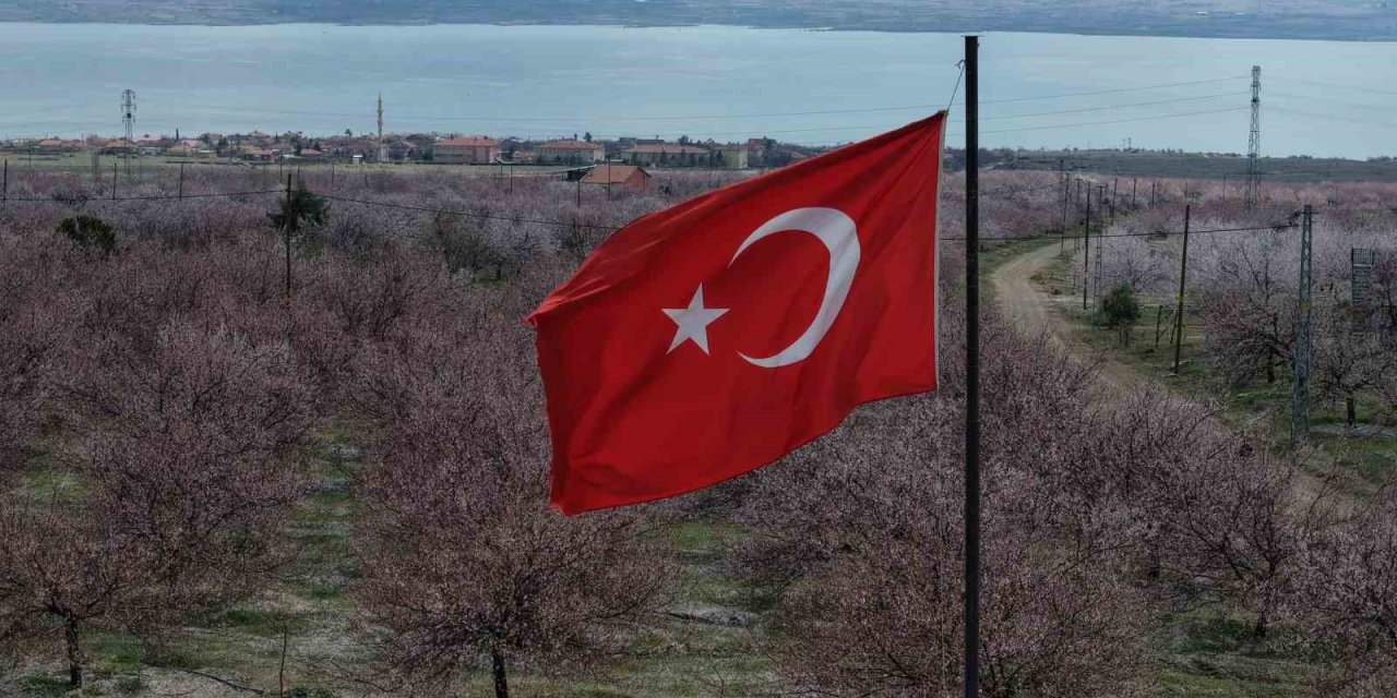 Kayısı bahçeleri beyaza büründü, ortaya eşsiz manzaralar çıktı