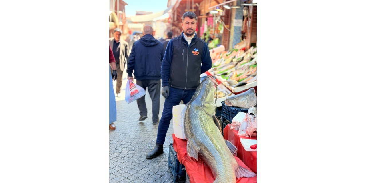 Elazığ’da kurban pazarlığını aratmayan görüntü: Vatandaşlar dev balık için yarıştı