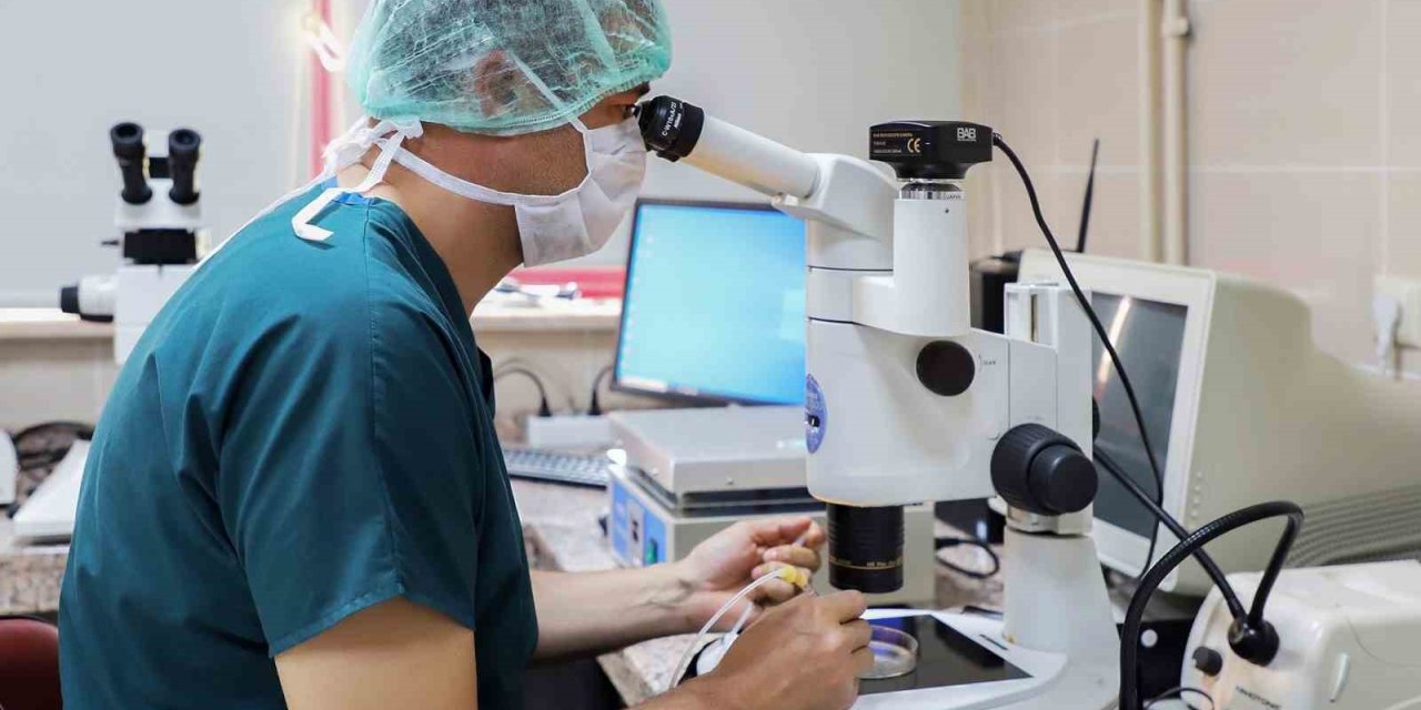 128 Tıp Fakültesi arasında 3. Sırada