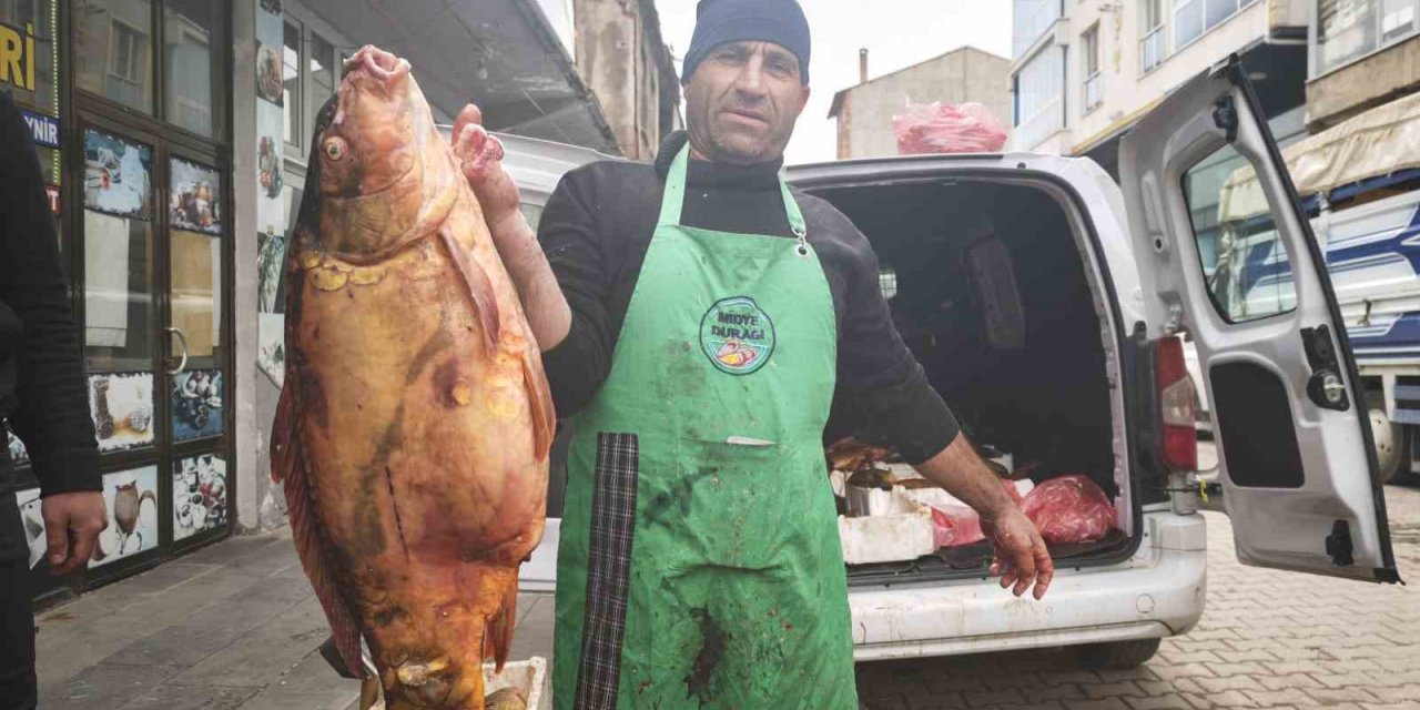 Ahlat’ta dev sazan balıklarına yoğun ilgi