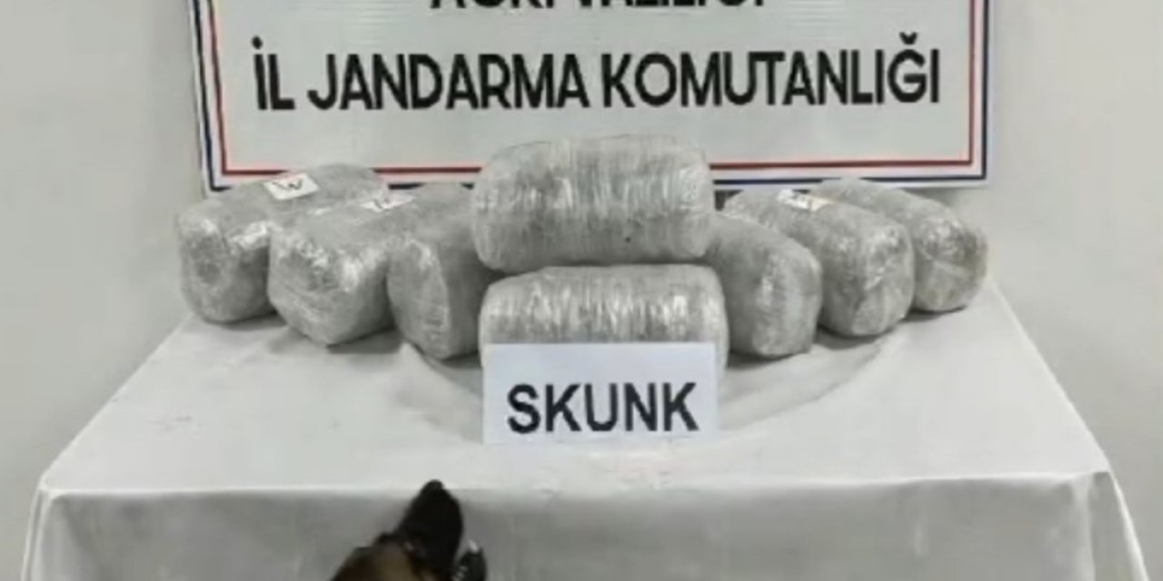 Ağrı’da 10 kilogram skunk ele geçirildi, 1 şüpheli tutuklandı