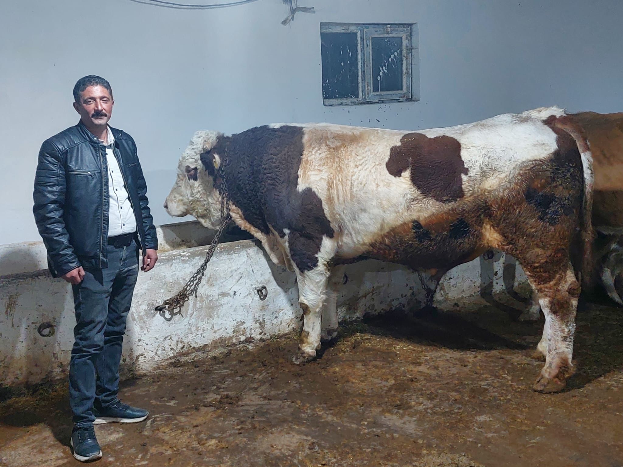 Çıraklıktan üretime: “Gençler köyde üretime teşvik edilmeli”