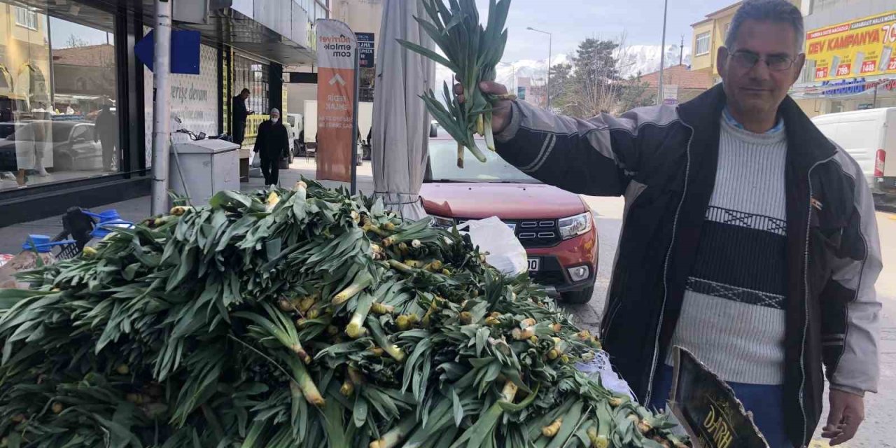 Doğal antibiyotik çiriş otu Erzincan tezgahlarında yerini aldı