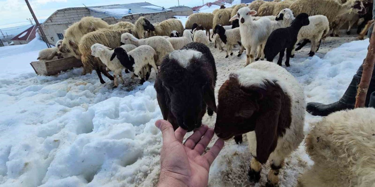 Aydınlar beldesinde iki mevsim bir arada yaşanıyor