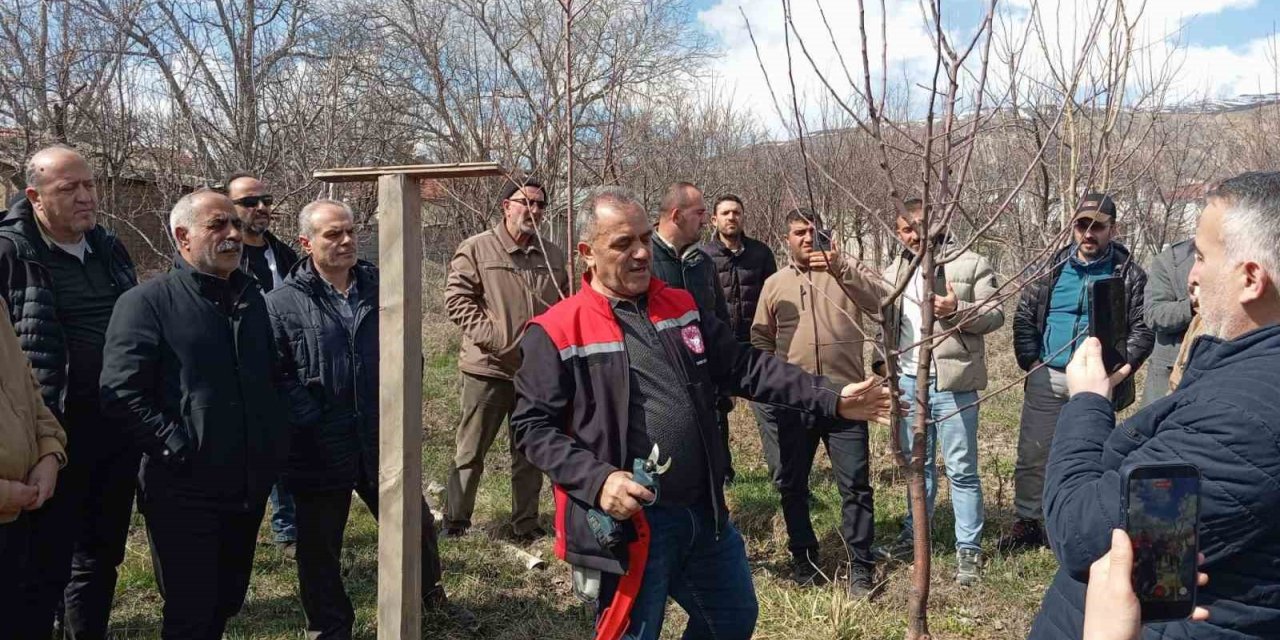 Erzincan’da çiftçilere budama eğitimi verildi