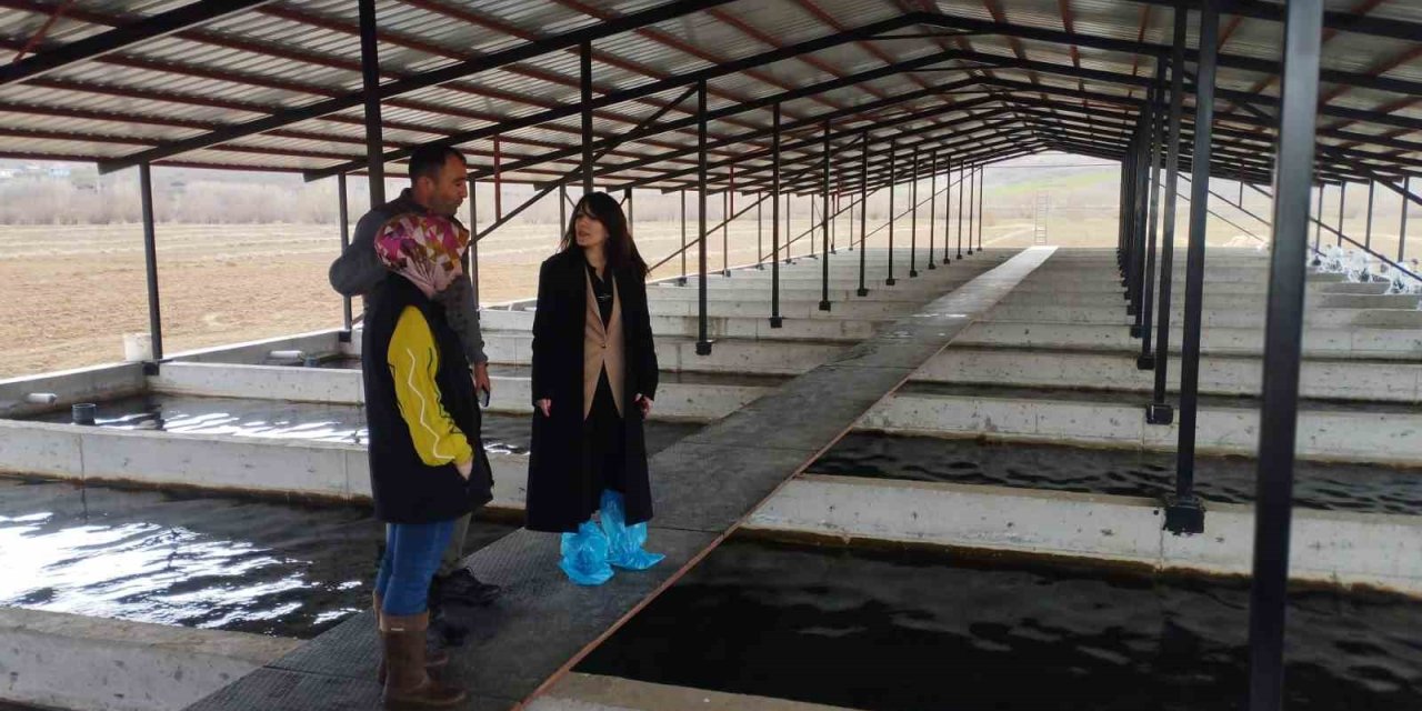 Tercan’da alabalık üretim tesisine denetim