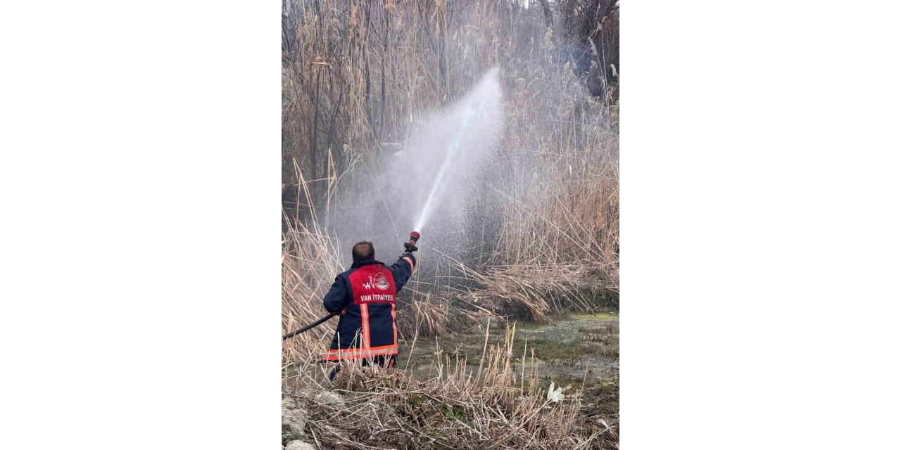 Van’da sazlık alanda yangın