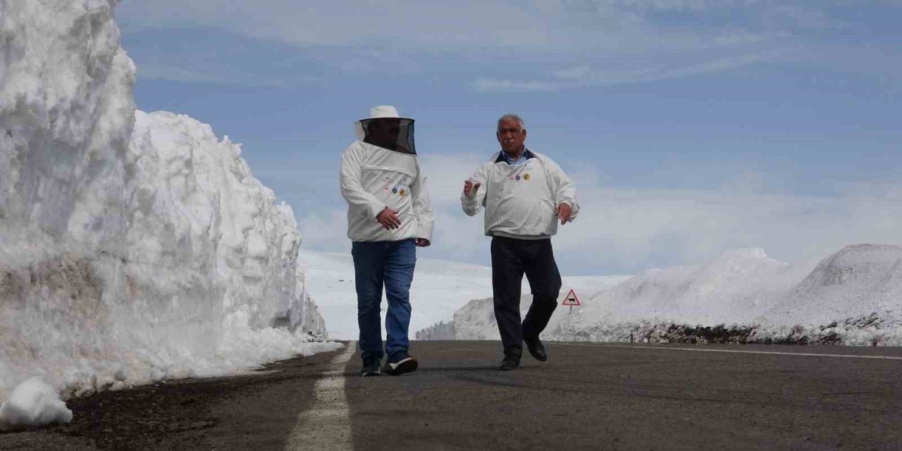 2581 rakımda arıcılardan yol açma çağrısı