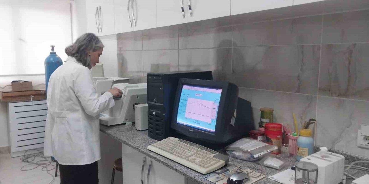 Türk profesörlerin yürüttüğü Sodyum-iyon batarya projesinde laboratuvar çalışmaları tamamlandı