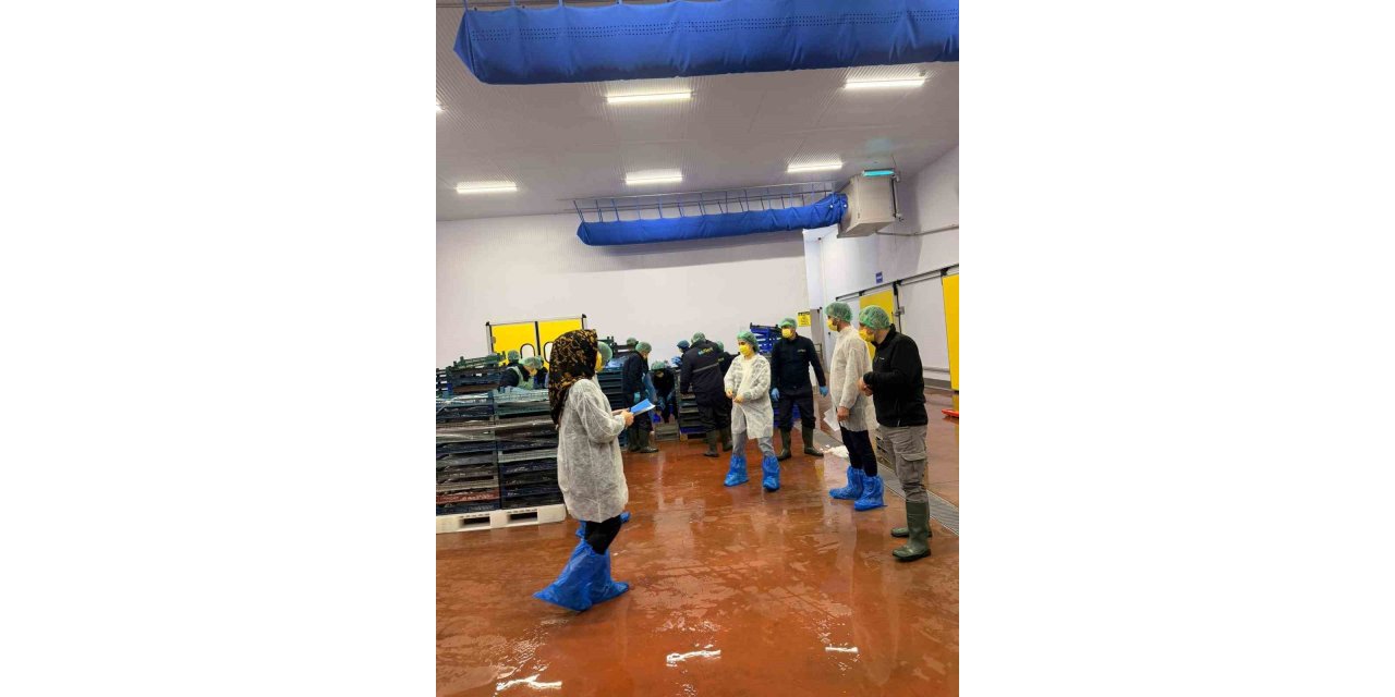Bingöl’de balık işleme tesisleri denetlendi