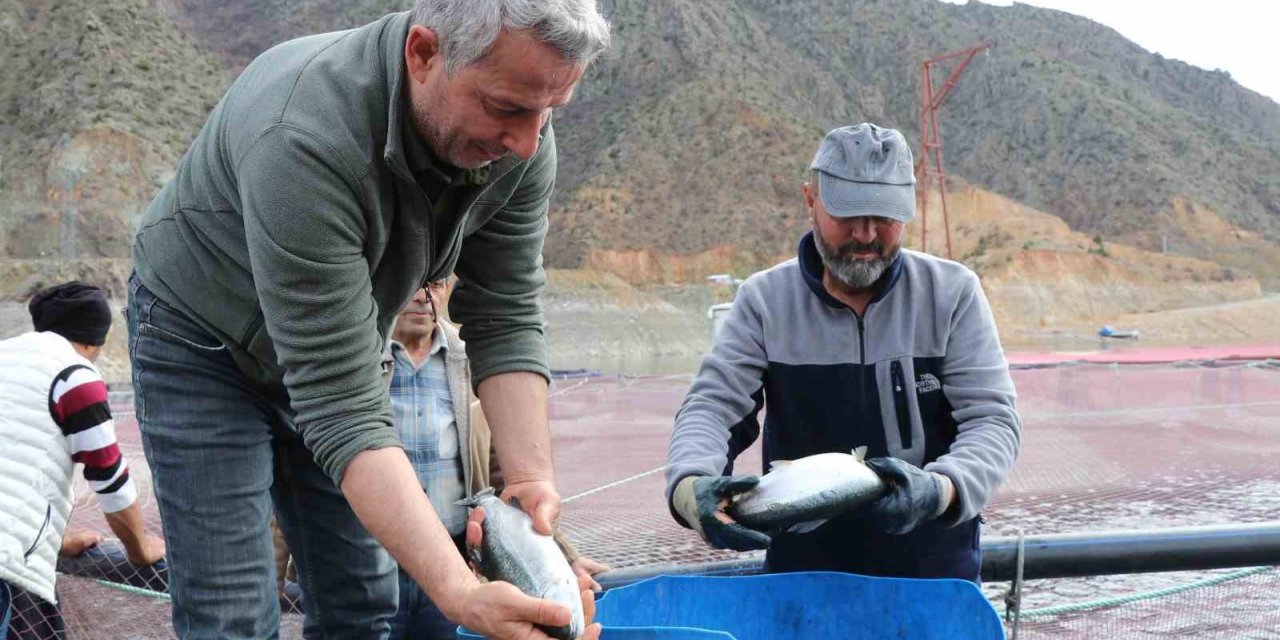 Denizi olmayan Erzurum’da yılda 300 tona yakın balık üretiyorlar