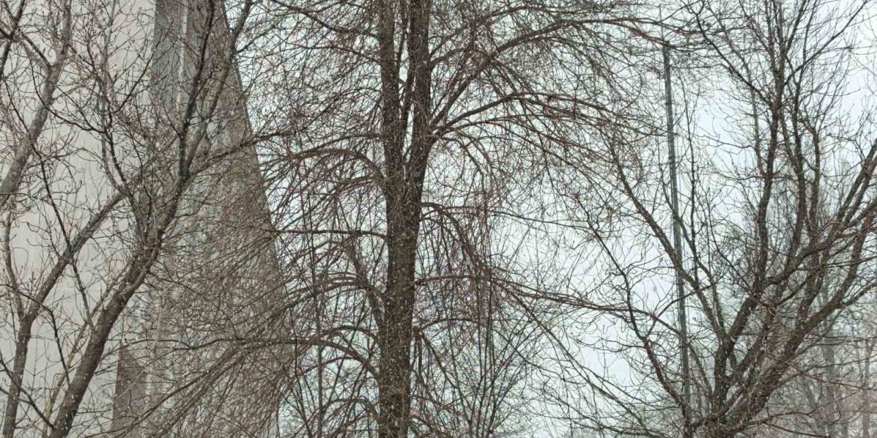 Bahar gelmeden kış geri döndü; Diyadin’e kar sürprizi