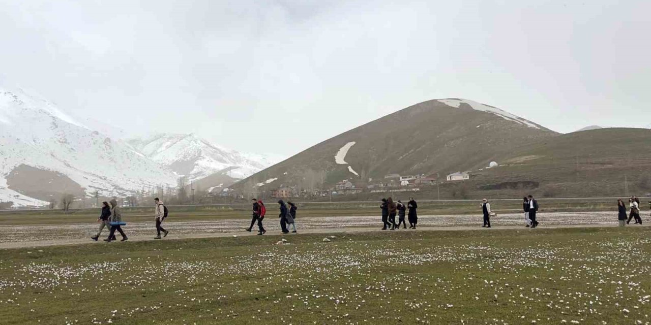 Üniversite öğrencilerinden çiğdemler arasında doğa yürüyüşü