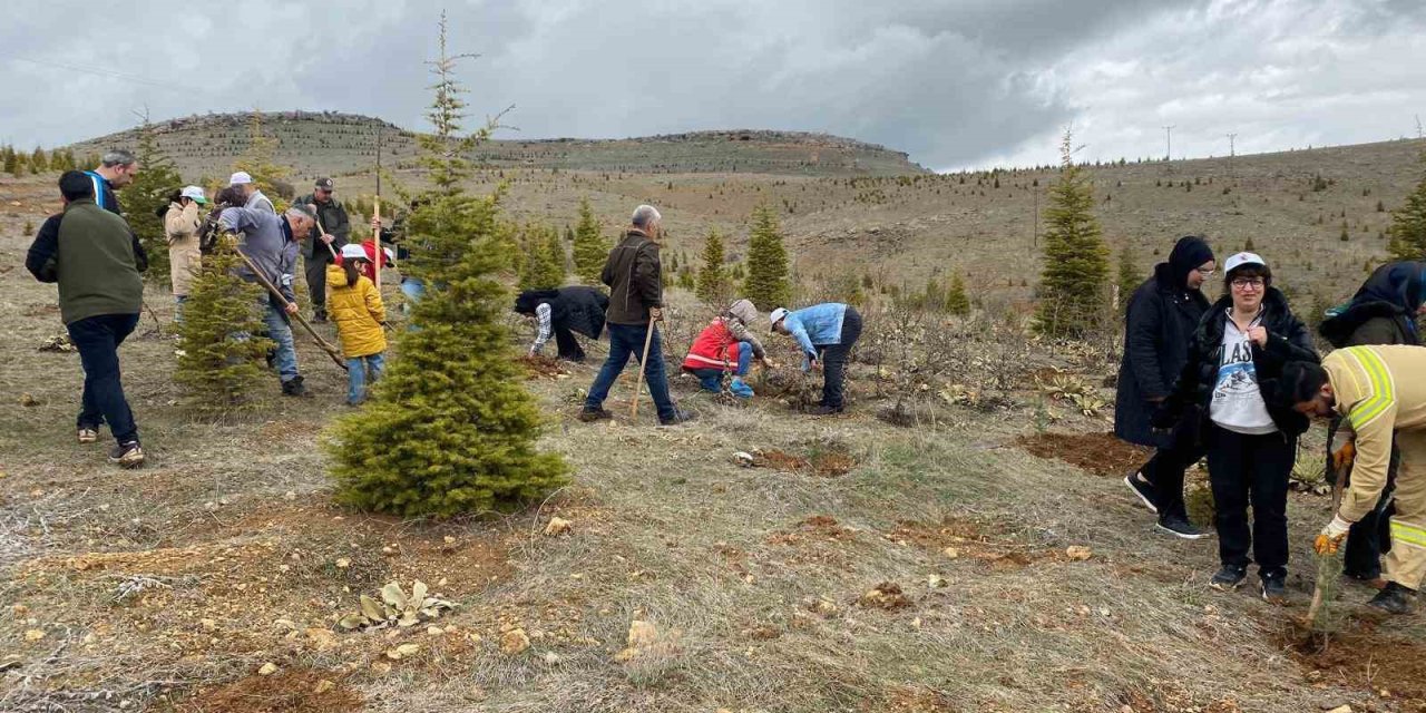 Elazığ’da fidan dikim etkinliği