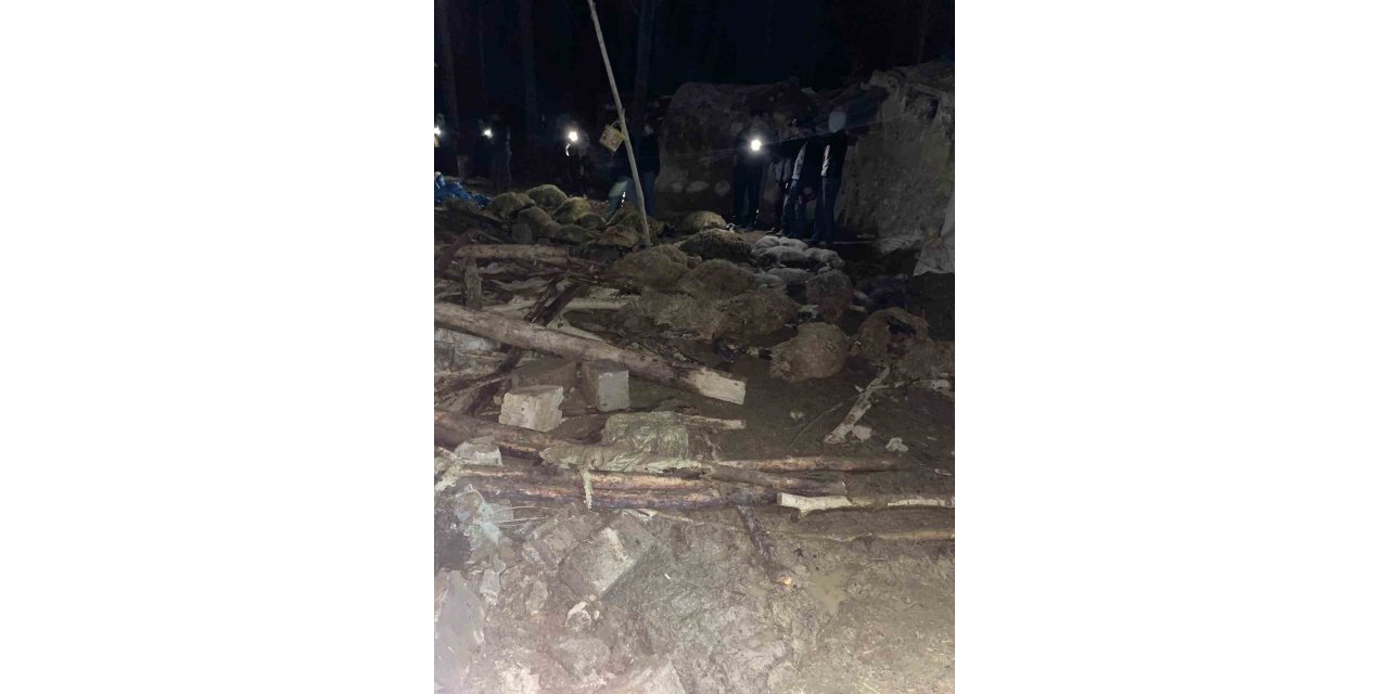 Van’da ahır çöktü: 56 küçükbaş hayvan telef oldu