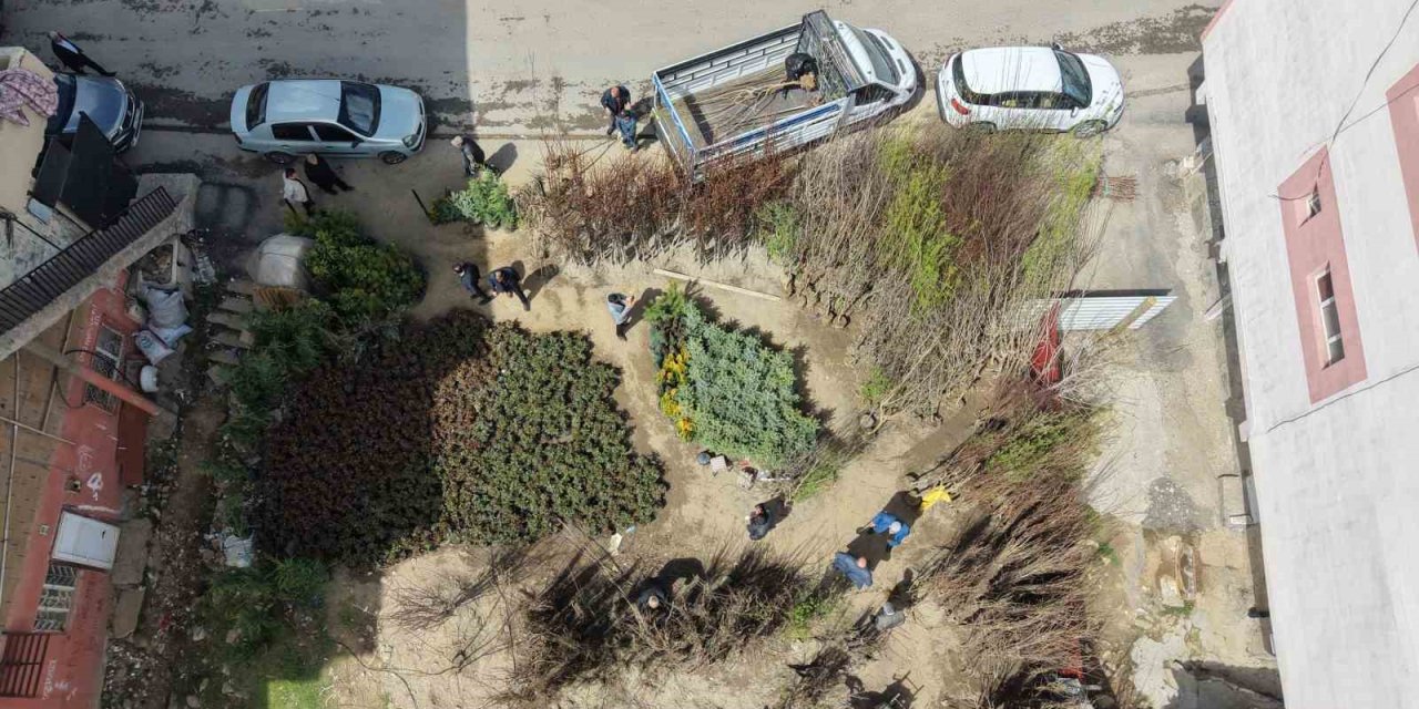 Muş’ta meyve fidanları satışa çıkarıldı