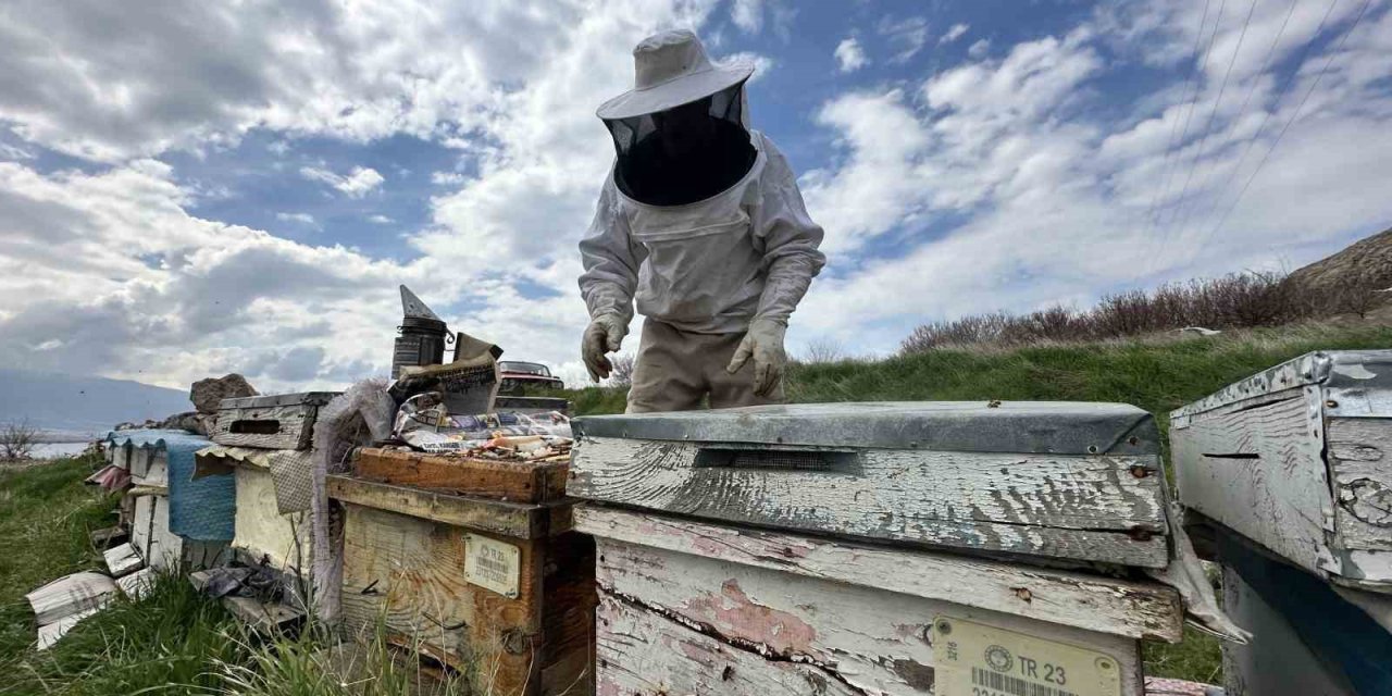 Arıcılar yavru ve besleme dönemine girdi