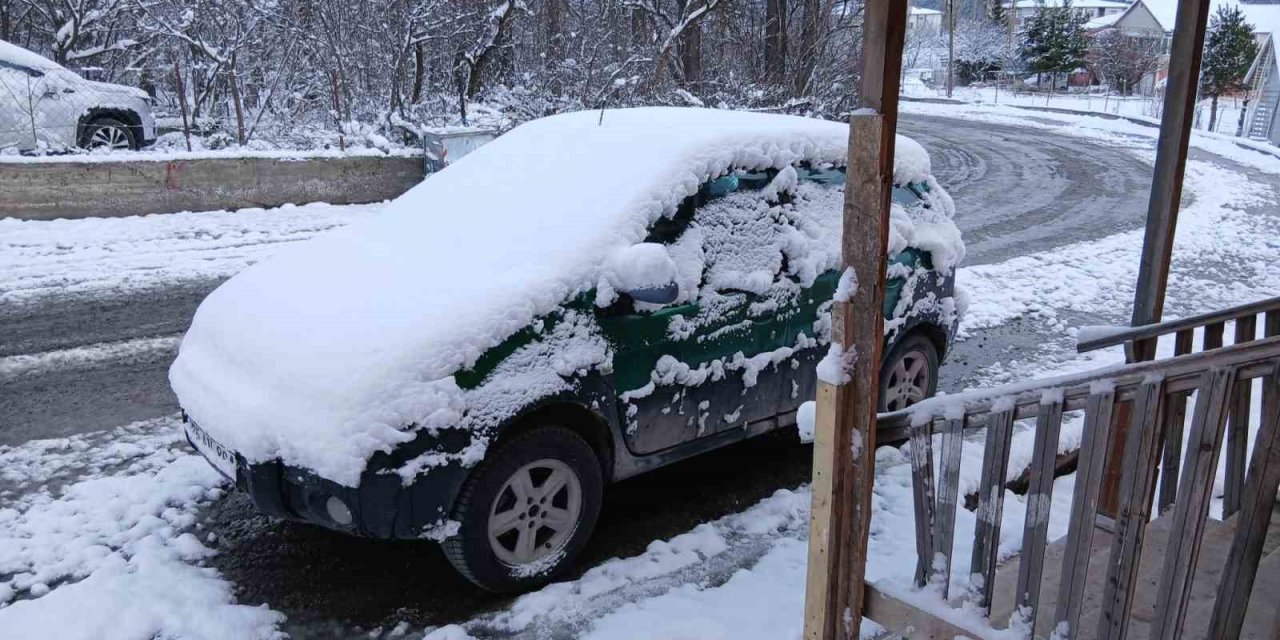 Posof’ta kar yağışı etkili oldu