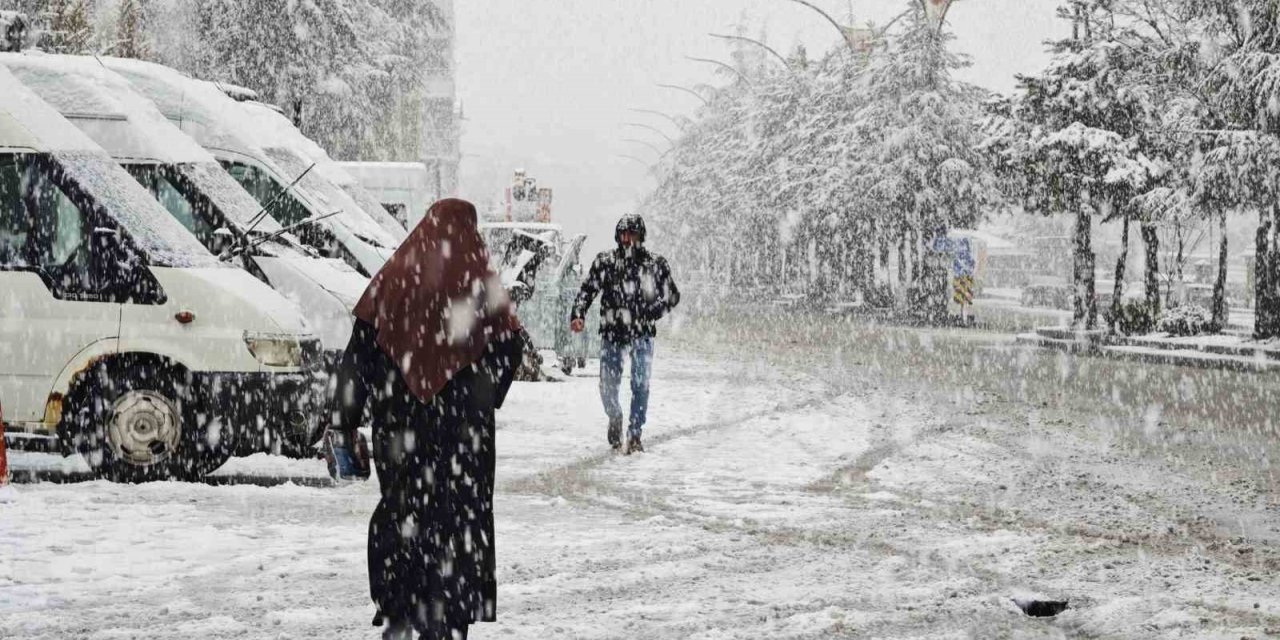 Ahlat’ta nisan karı etkili oldu