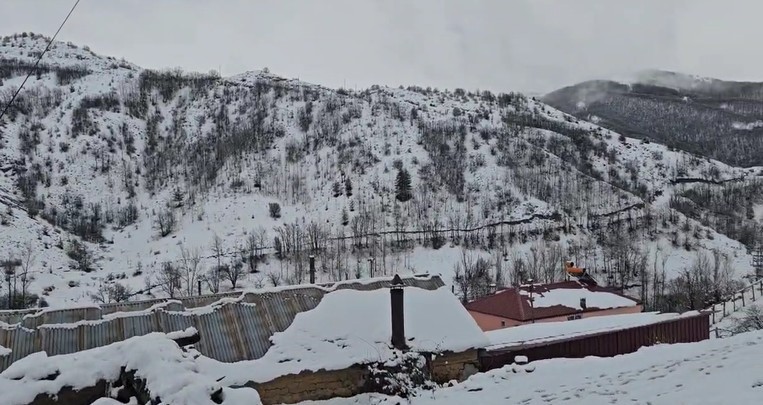 Bahar yerini kışa bıraktı: Erzincan Refahiye’de kar yağışı etkili oldu