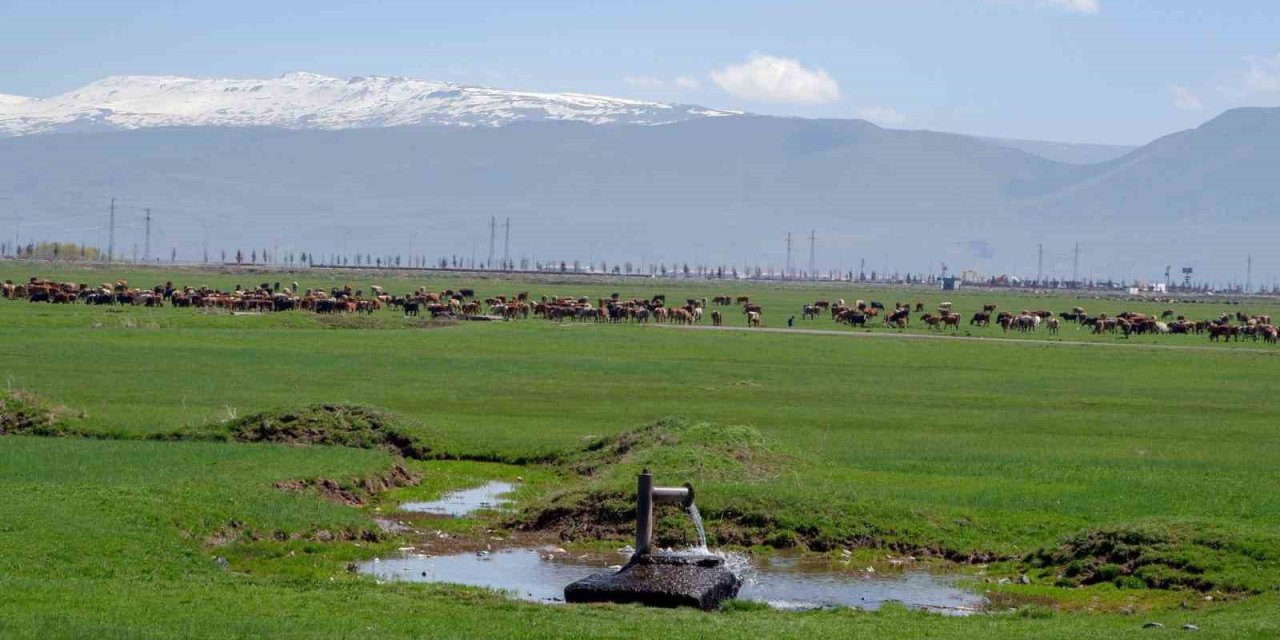Tarımda önder üretici modeli vurgusu