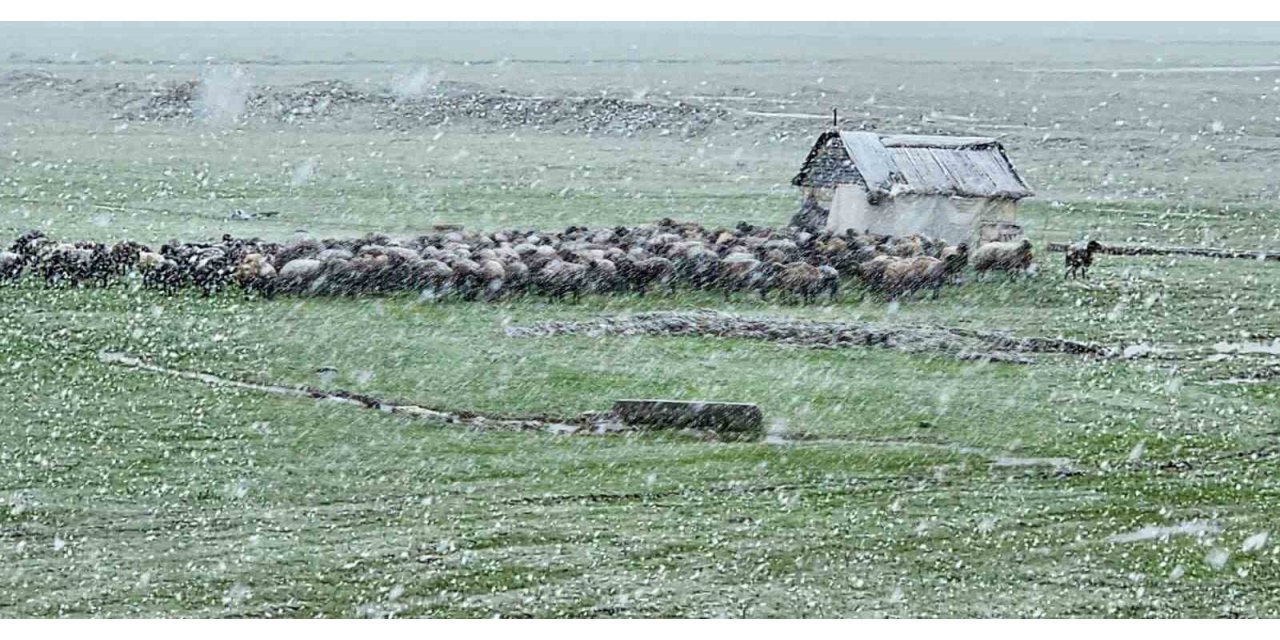 Muş’ta nisan karı etkisini sürdürüyor: 22 köy yolu ulaşıma kapandı