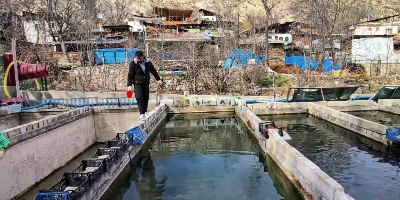 300 bin balık telef oldu; Genç girişimci ayakta kalma mücadelesi veriyor