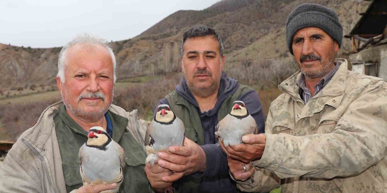 Atadan toruna kalan miras:  "Baskın keklik" yöntemiyle dev envanter