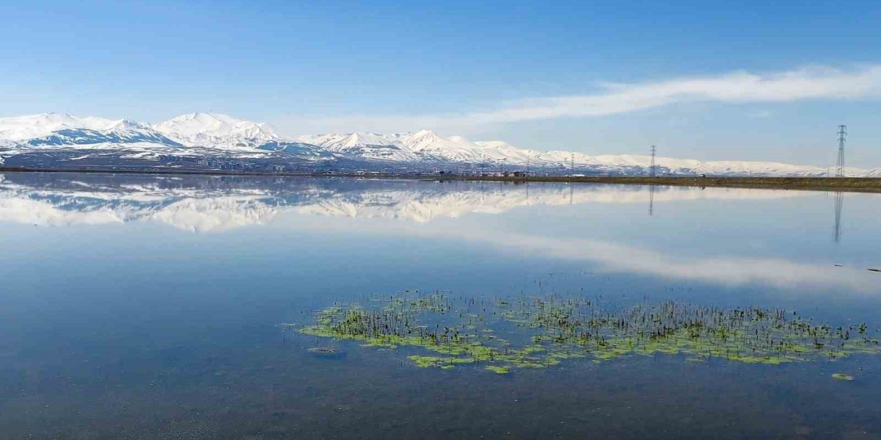 Meteorolojiden zirai don uyarısı