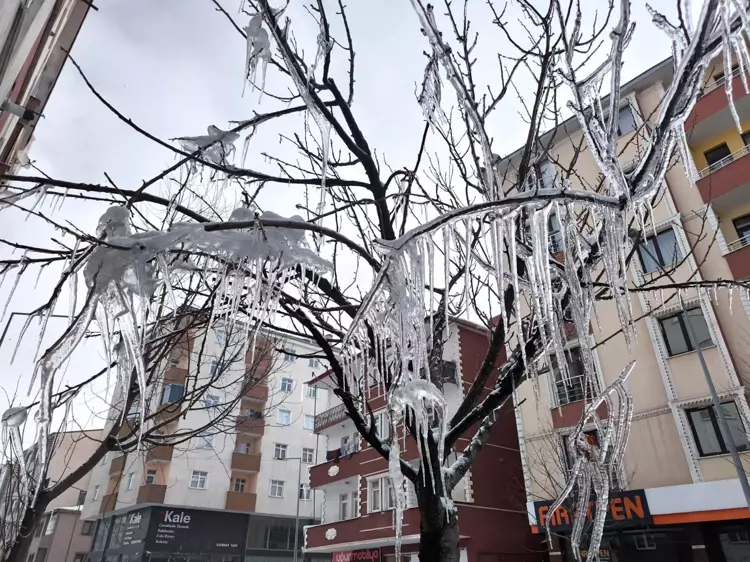 Meteorolojiden Kars için 'kuvvetli zirai don' uyarısı