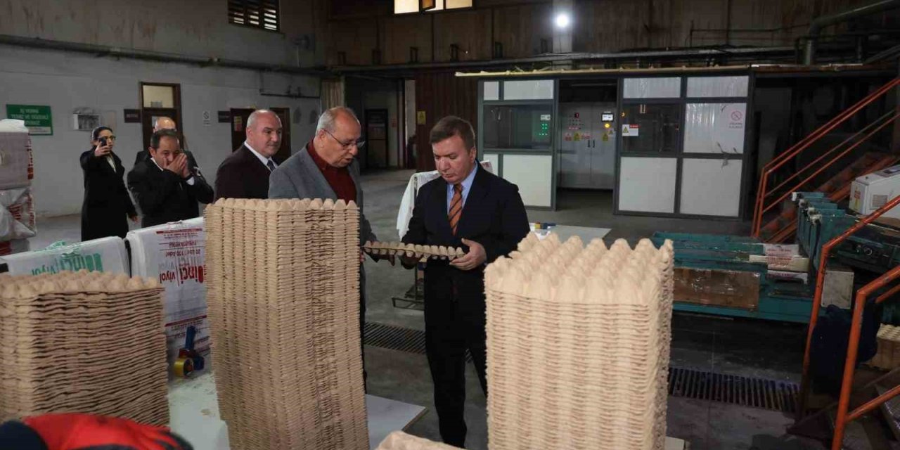 Erzincan’dan Türkiye’ye viyol üretimi