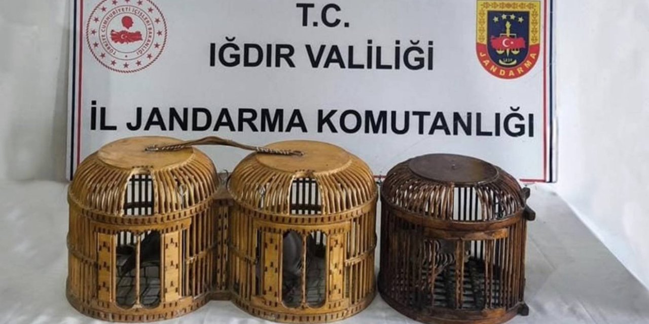Iğdır’da kaçak keklik avına suçüstü: 72 bin TL ceza