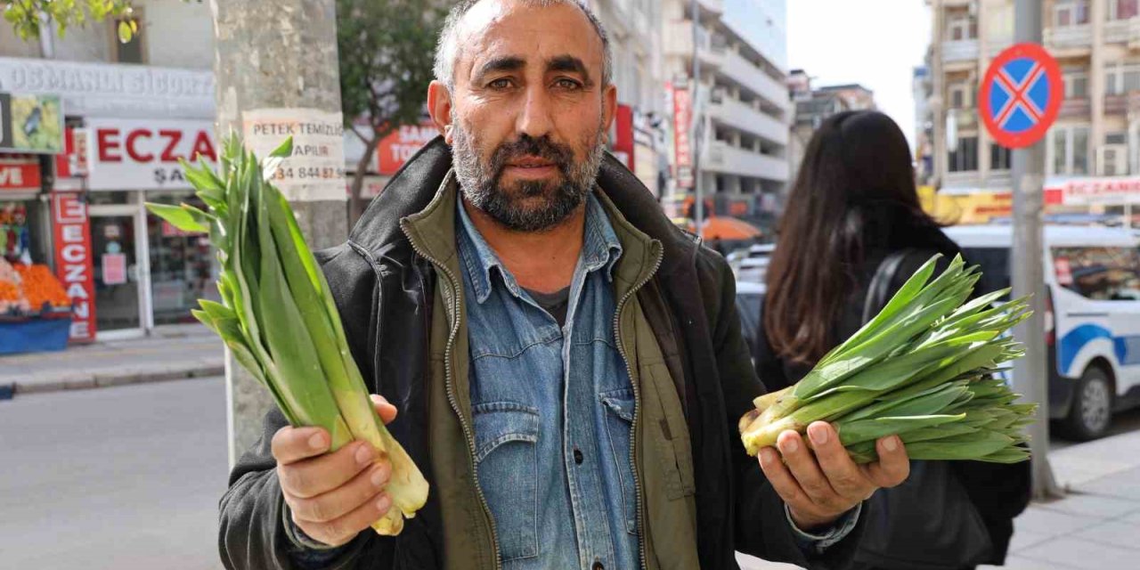 Dağlardan toplanan doğal antibiyotik, tezgahlarda yerini aldı